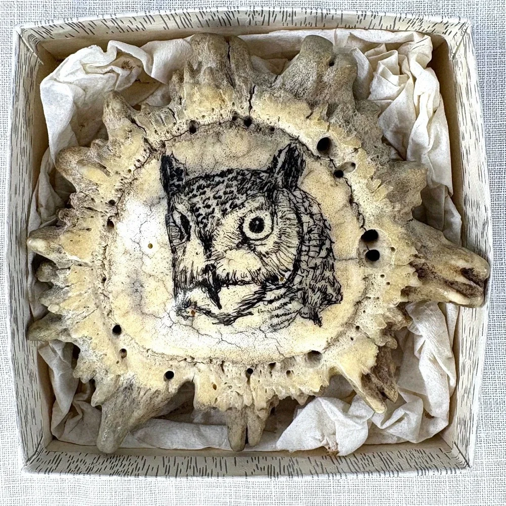 Handmade Scrimshaw Owl Antler Burr Belt Buckle Western Wildlife Art Bone Crown